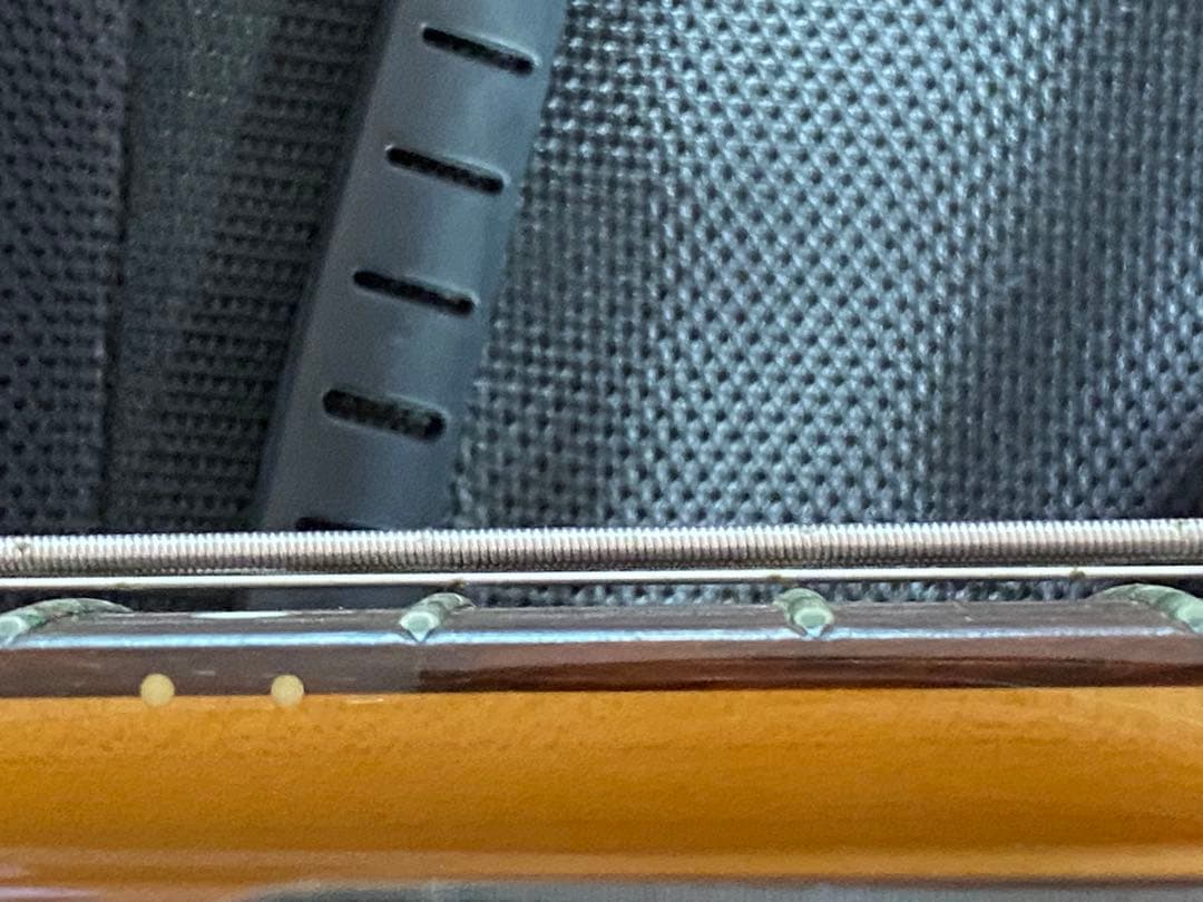 FUJIGEN NCJB-10R/Active-Pro ジャズベースタイプ