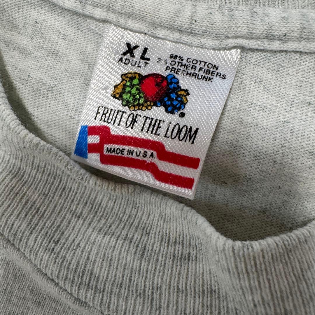 Snapcase lookinglasself Tシャツ XLサイズ グレー