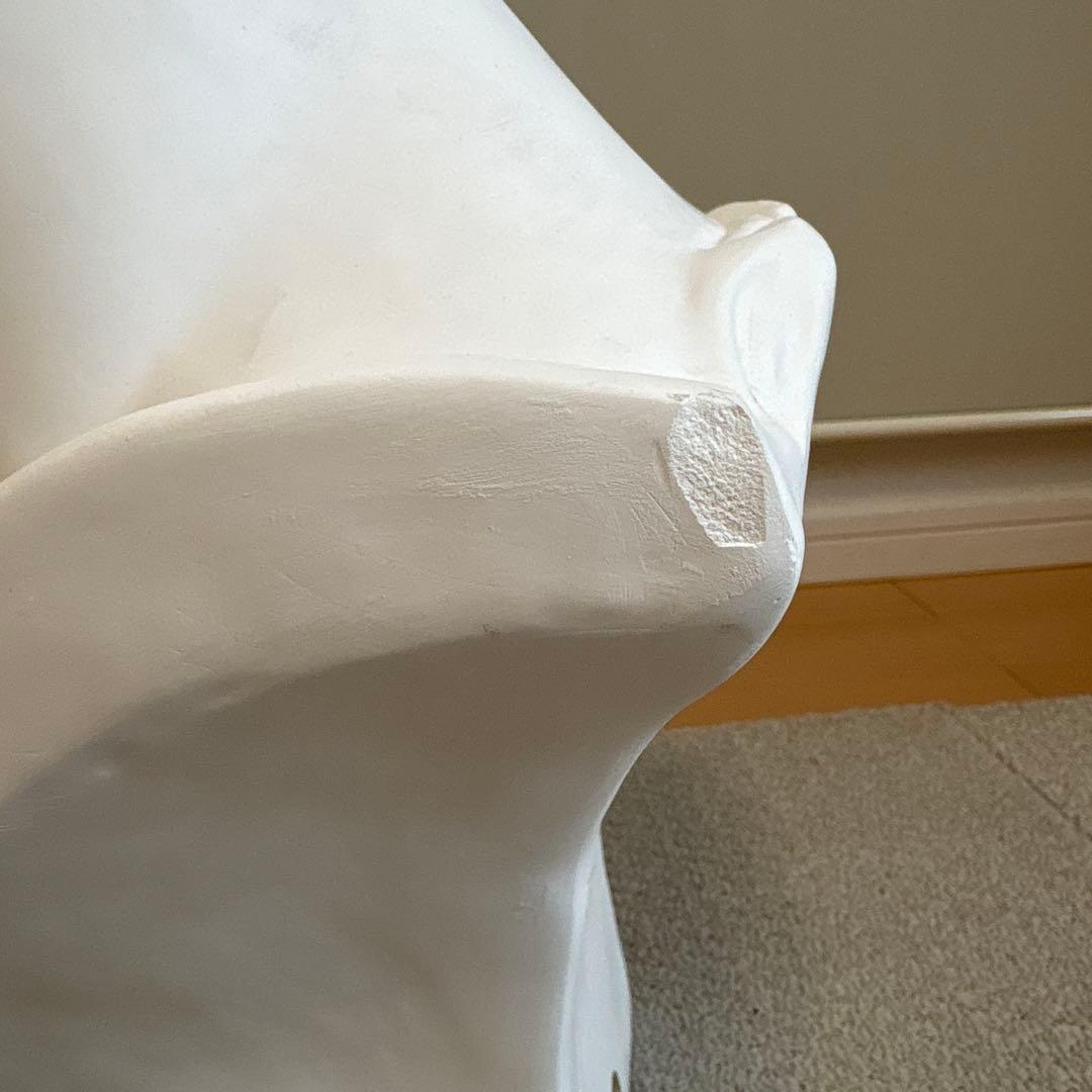 ジュリアーノ・メジチ胸像