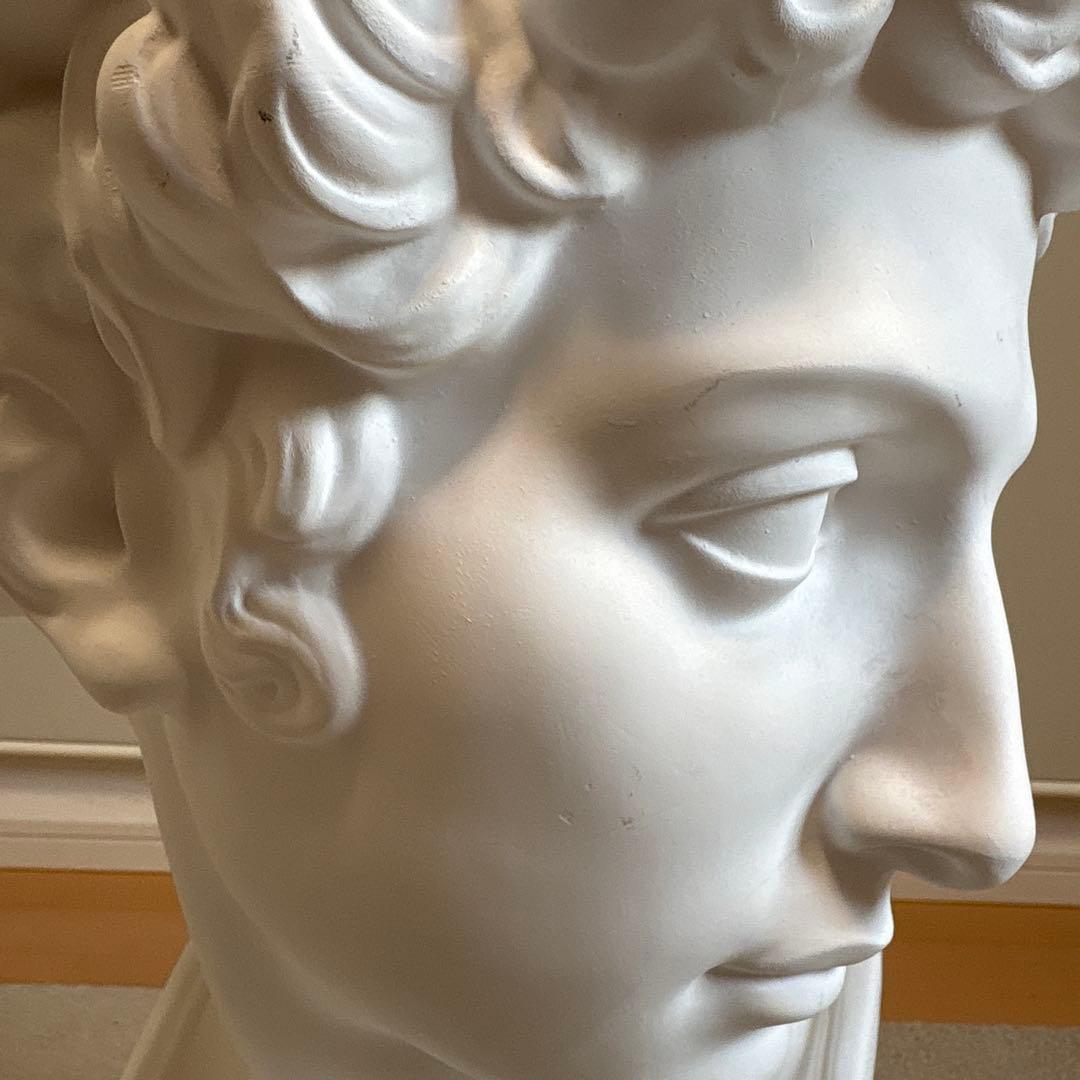 ジュリアーノ・メジチ胸像