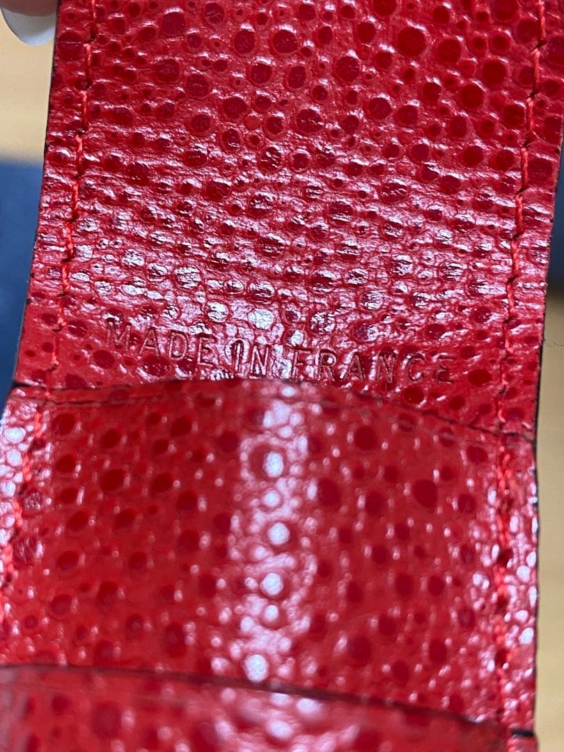 WATERMAN ウォーターマン 万年筆 ペンケース付き　インクなし