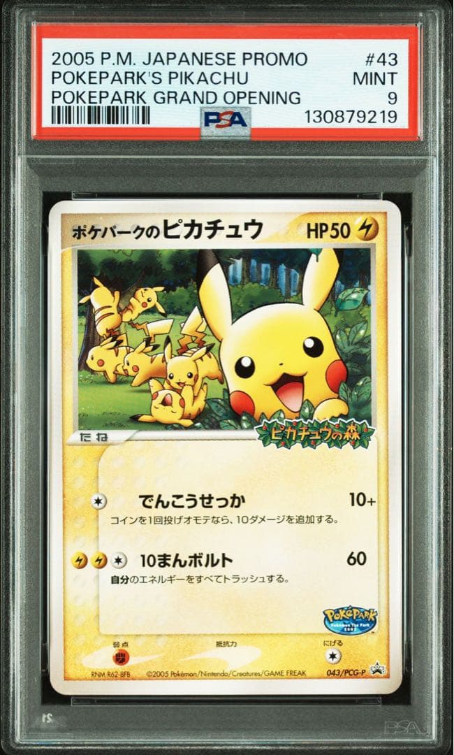 PSA9 ポケパークのピカチュウ