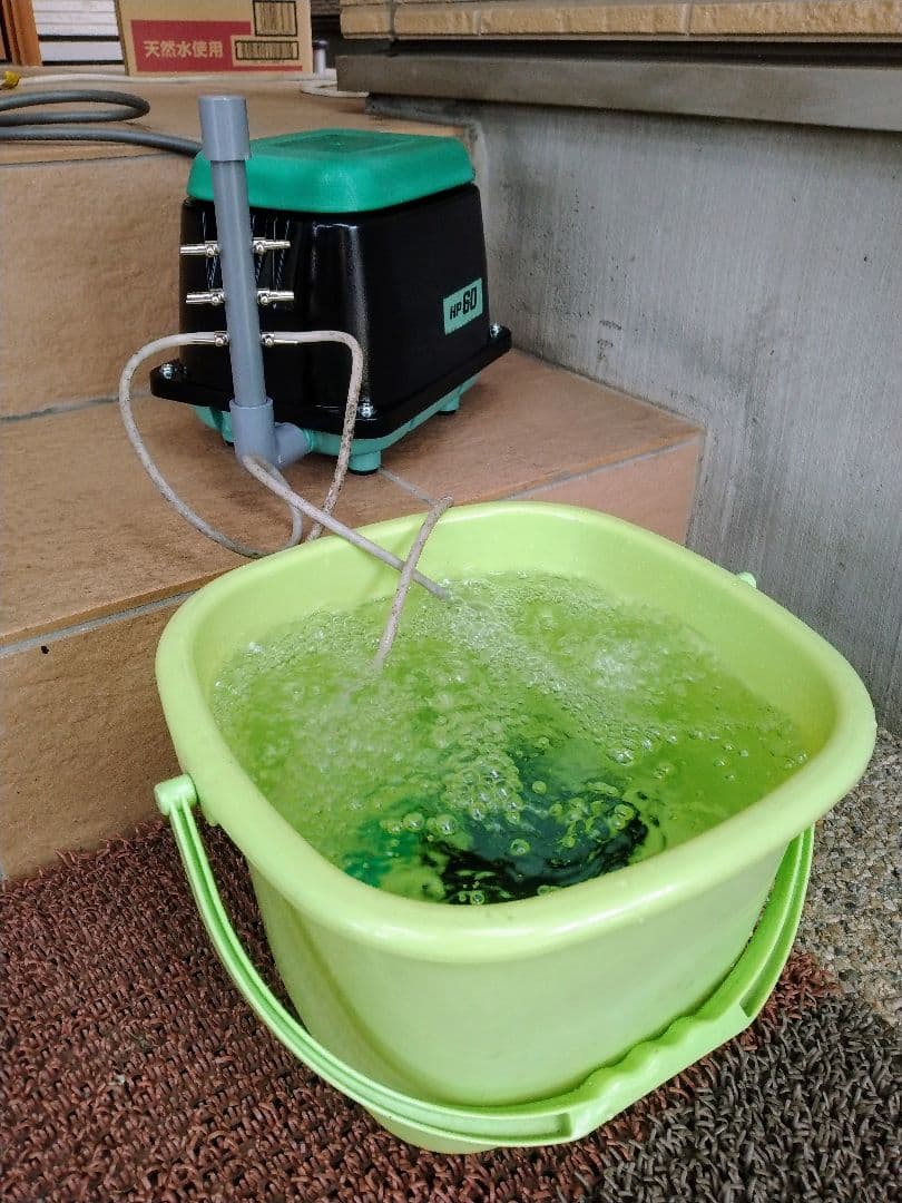 【テクノ高槻(HP-60)60L】859ダイアフラム　エアポンプ　ブロワ　浄化槽