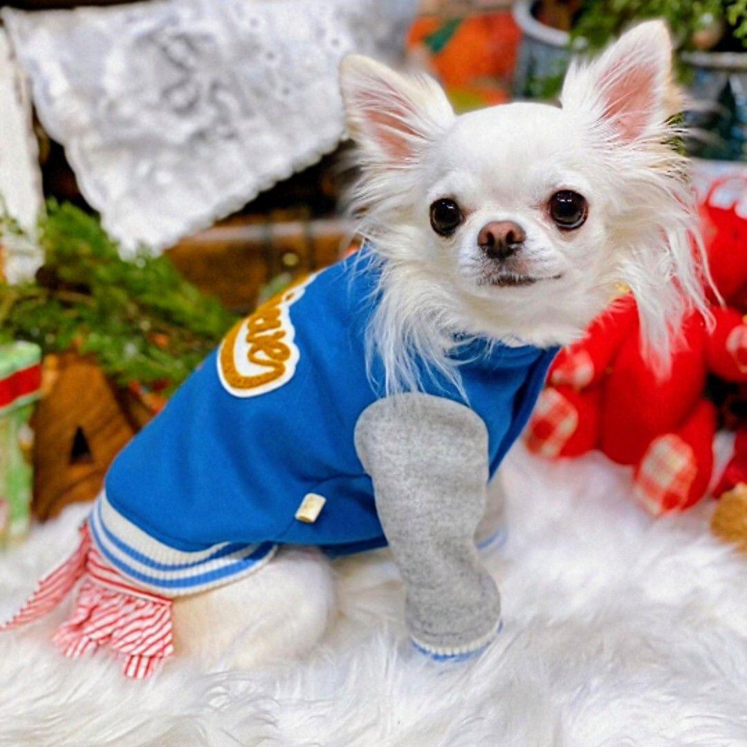 HAPPY☆スタジャン　新品　asknowasdewan アズノゥアズデワン