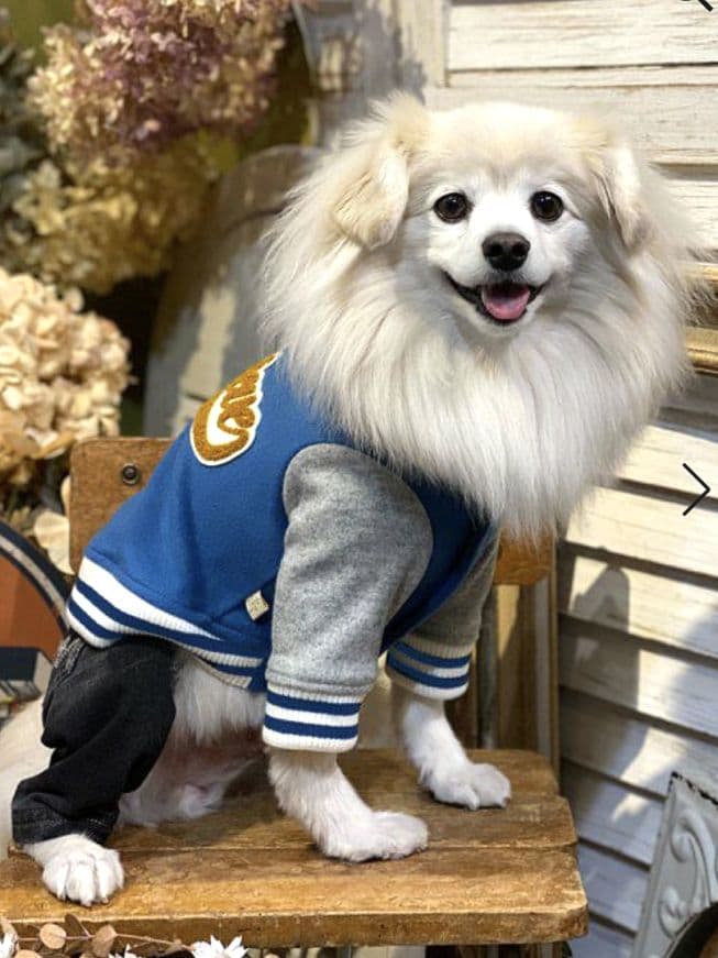 HAPPY☆スタジャン　新品　asknowasdewan アズノゥアズデワン