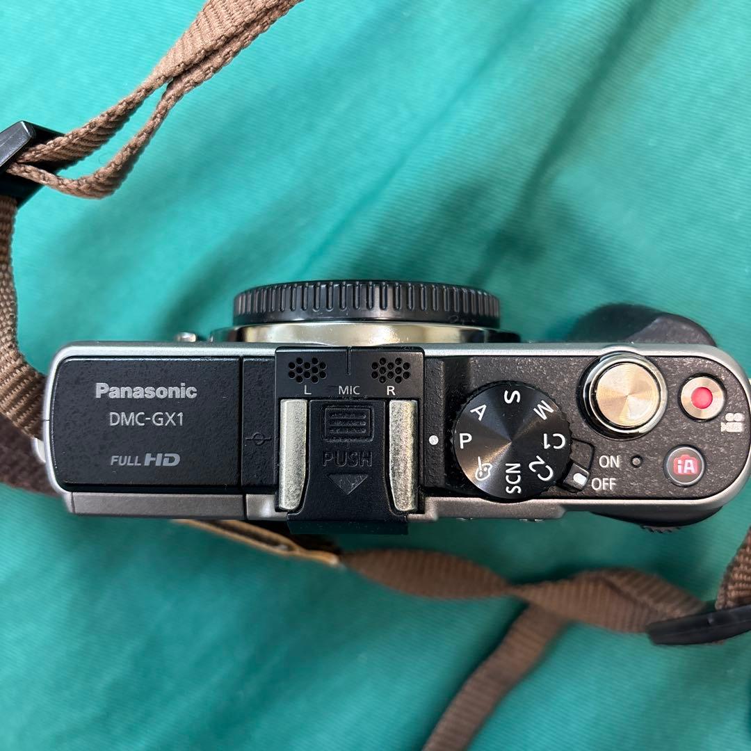 Panasonic DMC-GX1 ミラーレスカメラ
