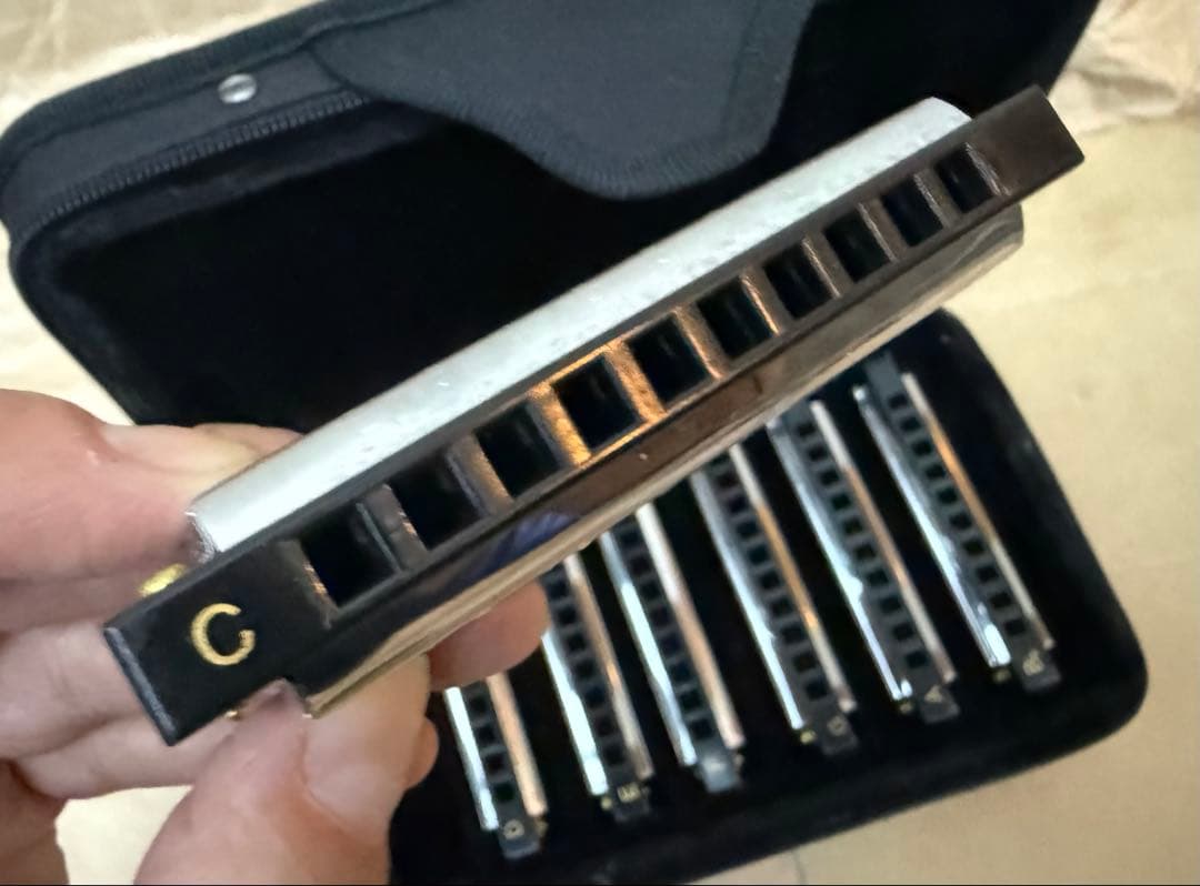 Hohner Bluesband 10ホールハーモニカ 7本セット　未使用