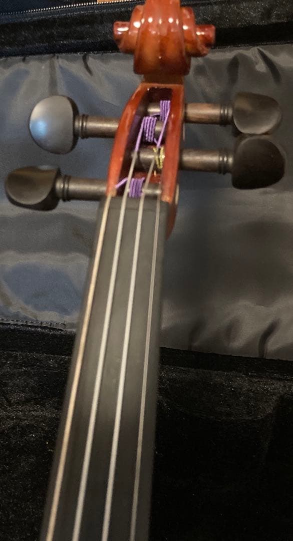 10/13までの価格！カルロジョルダーノバイオリンVS-14/4サイズ