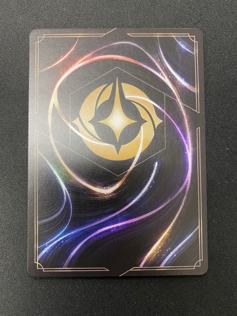 ムファサ　ディズニーロルカナ　エンチャンテッド