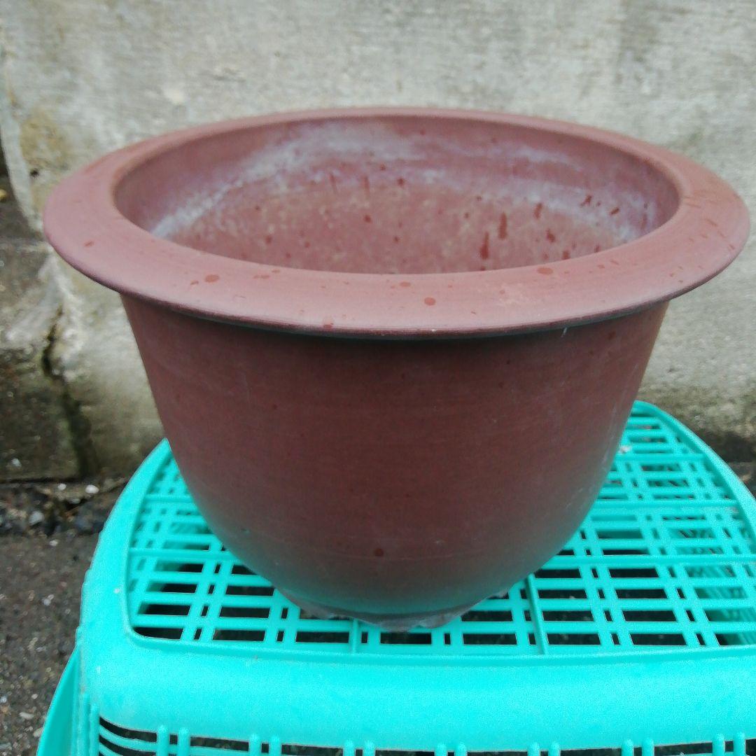 ミニ盆栽鉢、盆栽鉢、植木鉢、鉢、山野草鉢、盆栽