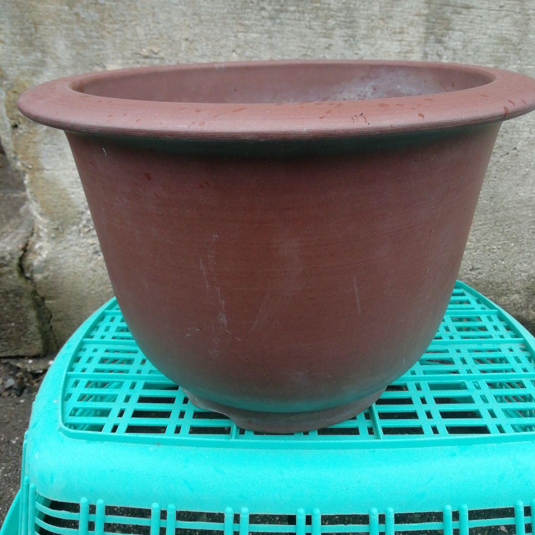 ミニ盆栽鉢、盆栽鉢、植木鉢、鉢、山野草鉢、盆栽