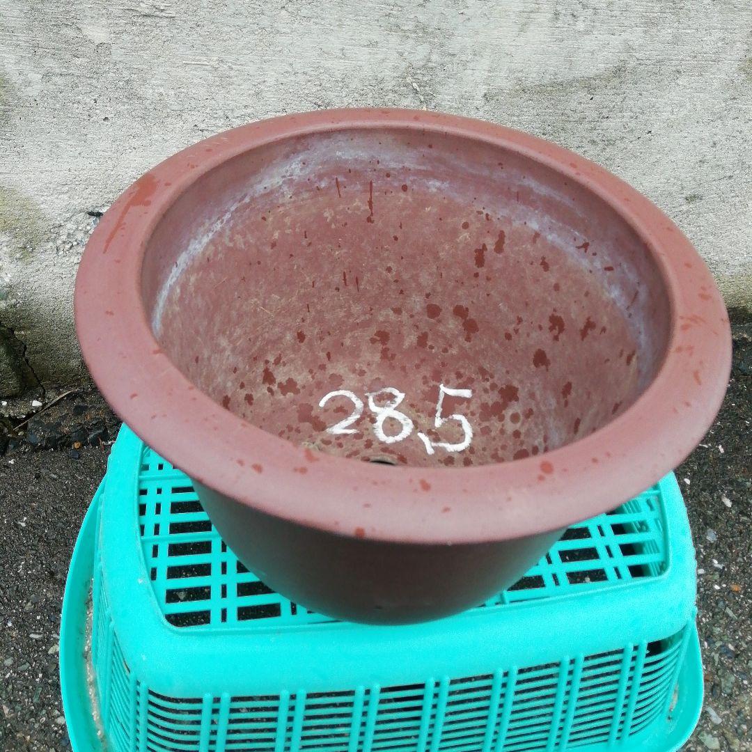 ミニ盆栽鉢、盆栽鉢、植木鉢、鉢、山野草鉢、盆栽