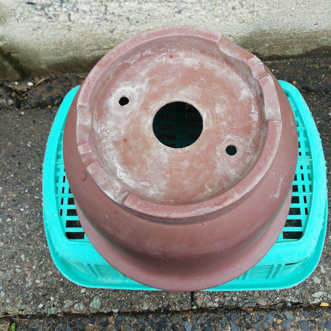 ミニ盆栽鉢、盆栽鉢、植木鉢、鉢、山野草鉢、盆栽