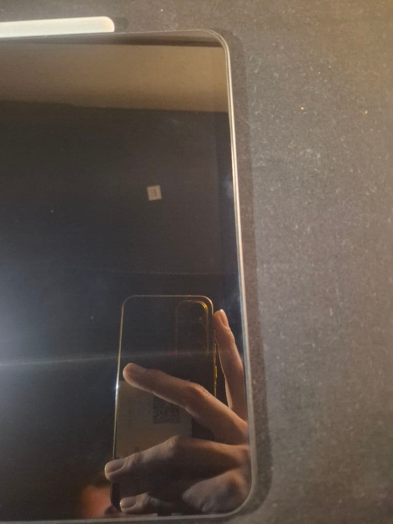 iPad本体 Apple iPad Pro m4 Wi-Fi 512GB