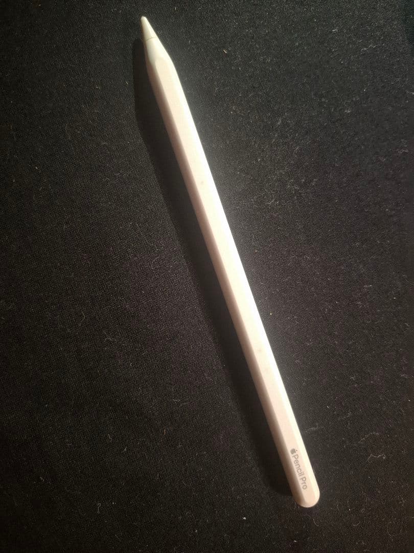 iPad本体 Apple iPad Pro m4 Wi-Fi 512GB