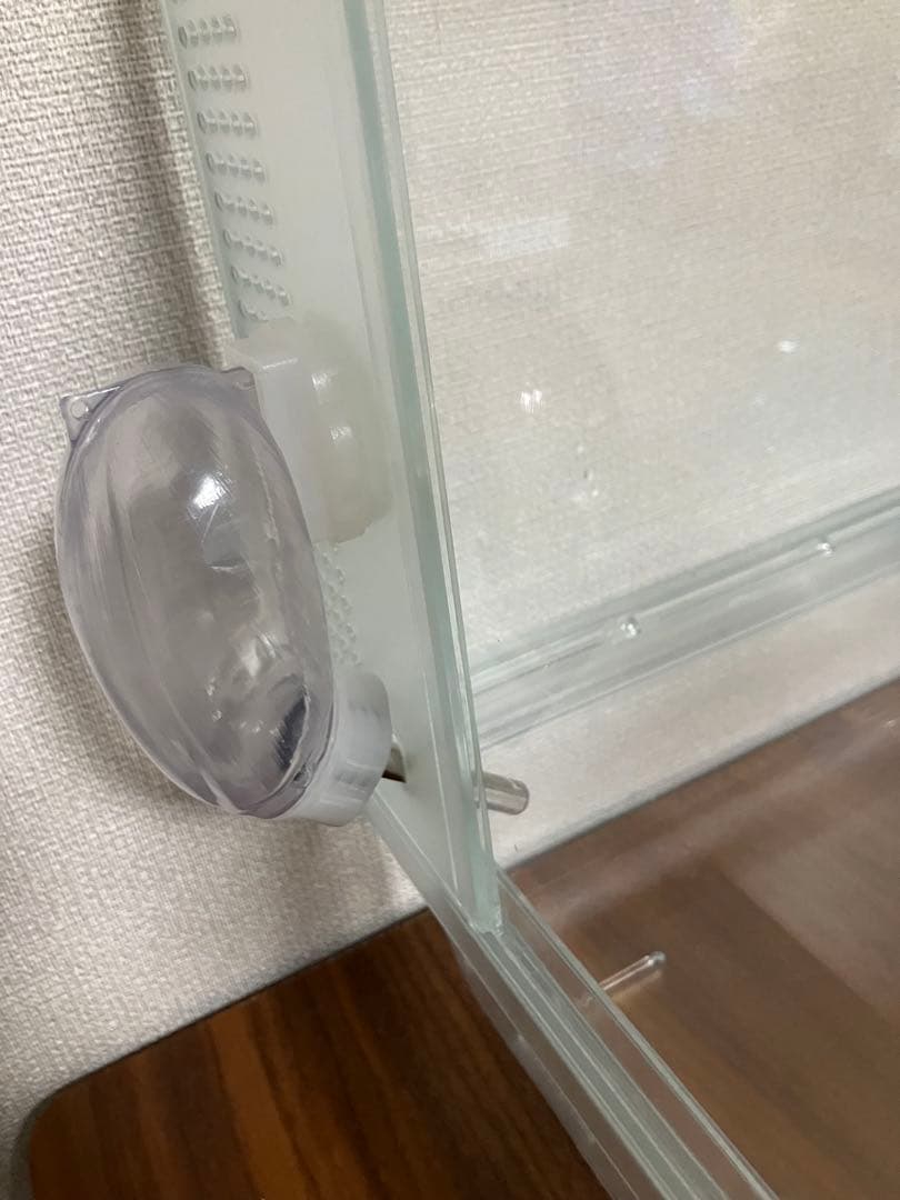 GEX 透明ガラス製小動物用ケージ　グラスハーモニー600 おまけ付き