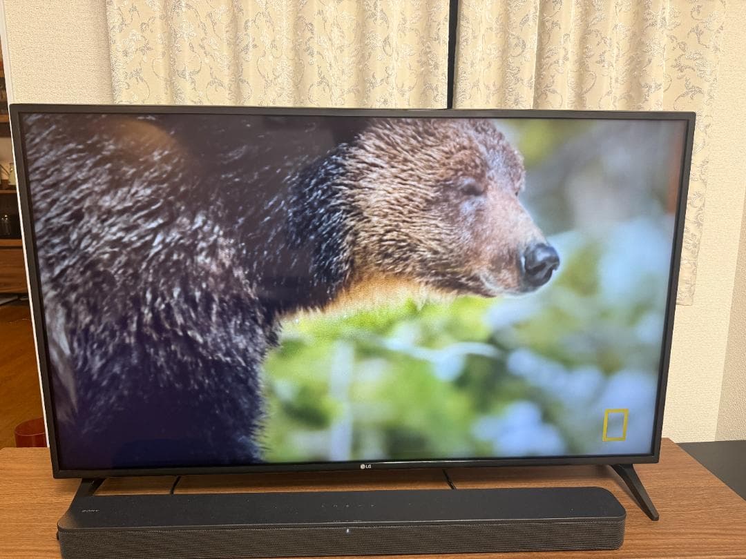 LG 49インチ 4K液晶テレビ (49UM7100PJA)マジックリモコン付き