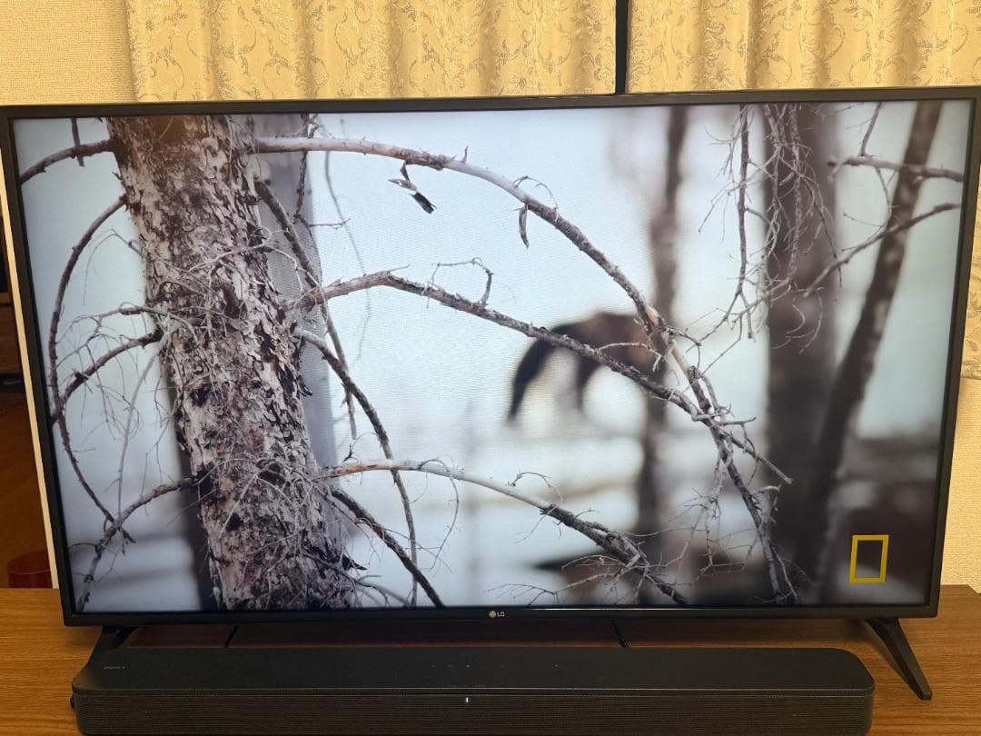 LG 49インチ 4K液晶テレビ (49UM7100PJA)マジックリモコン付き
