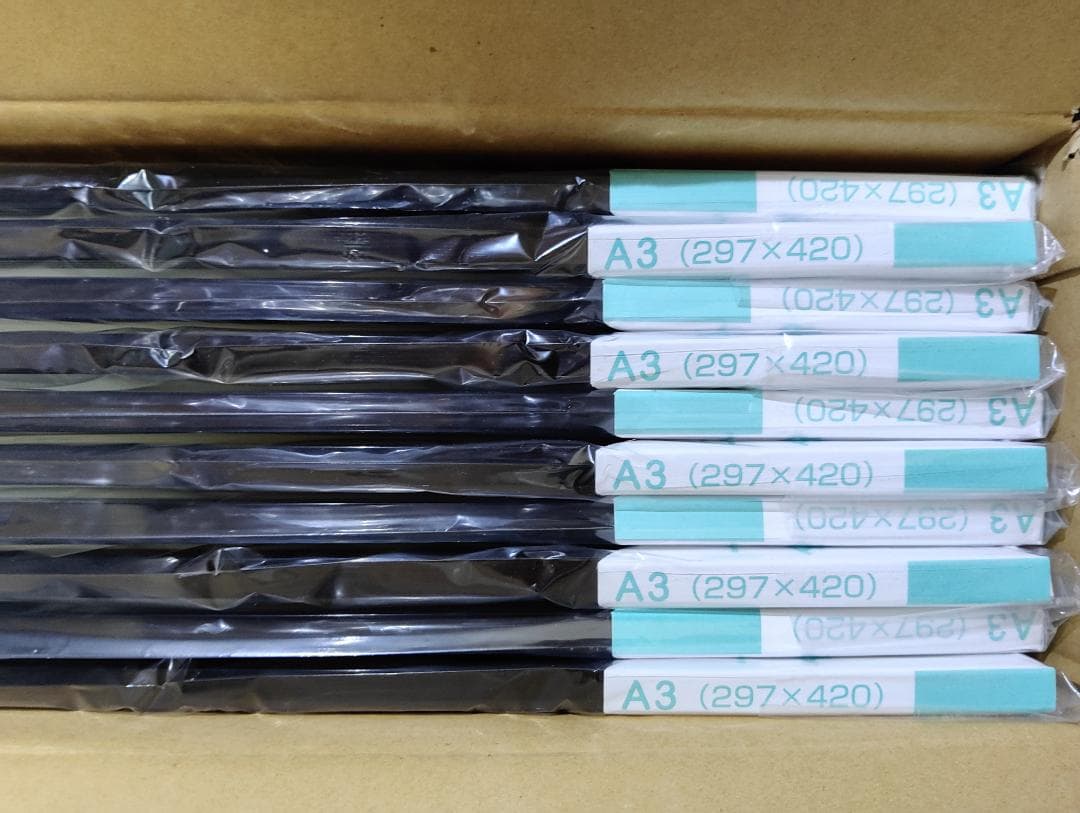 10枚セット HAKUBA ハクバ A3 ポスターパネル 額縁 ブラック アルミ