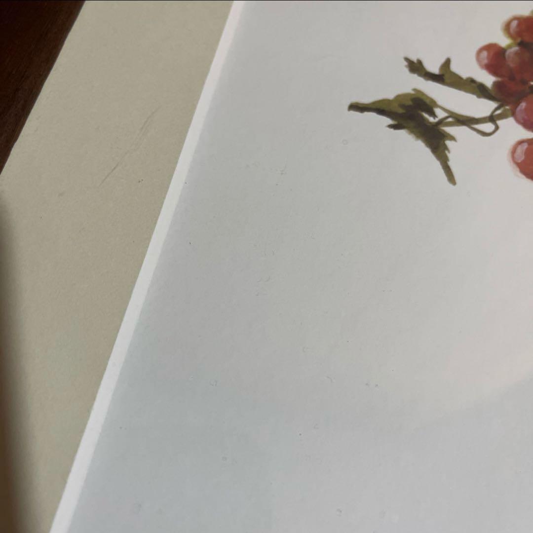 アート　絵画　橋本不二子　美術品　額　46×58cm 水彩画　植物画　縁起物