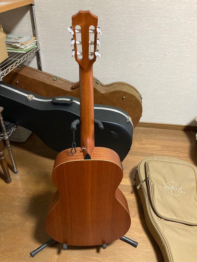 テイラーギター