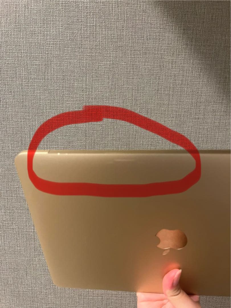 【比較的美品】Apple MacBook (12-inch, 2017)