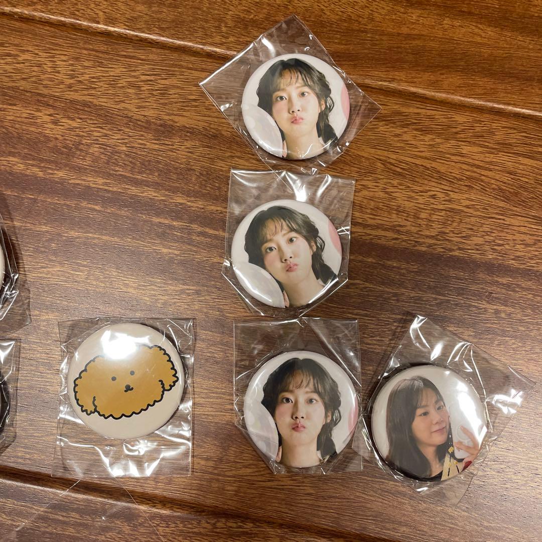 KARA ファンミーティング　ファンミ　缶バッジ　キーホルダー　コンサート