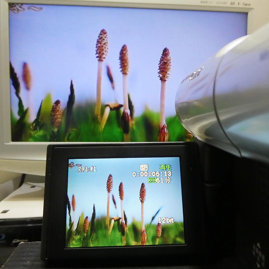 動作良好 Canon DM-FV1 MiniDVビデオカメラ　DVD化に最適