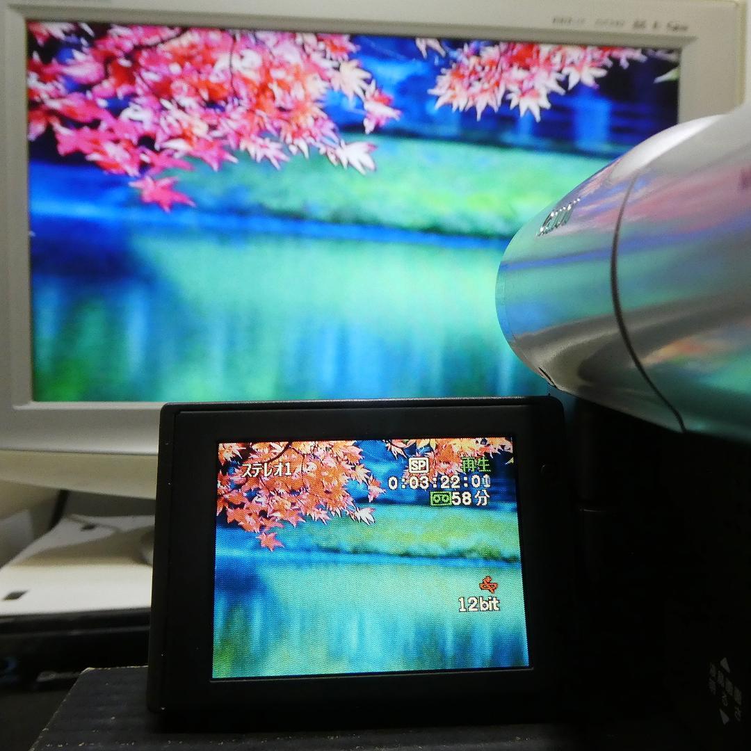 動作良好 Canon DM-FV1 MiniDVビデオカメラ　DVD化に最適