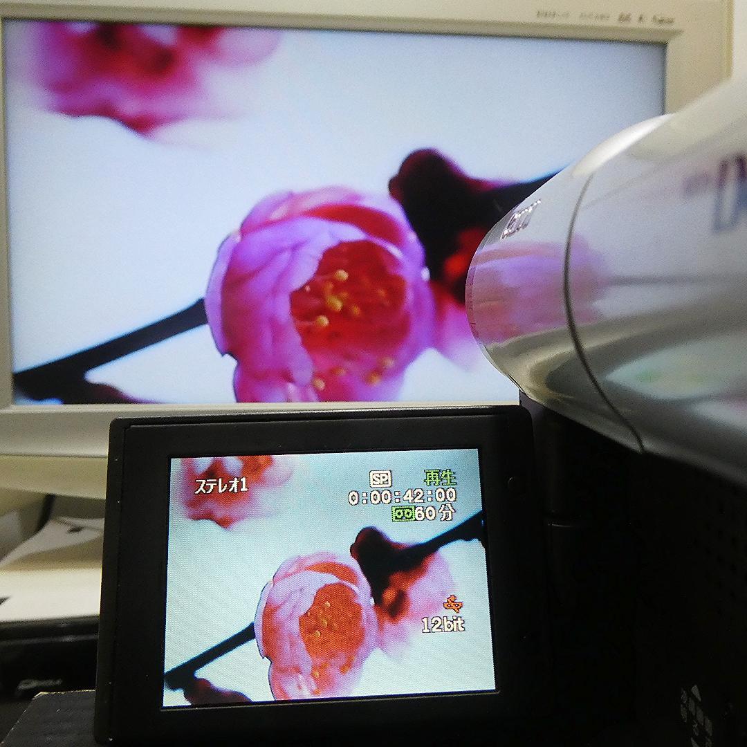 動作良好 Canon DM-FV1 MiniDVビデオカメラ　DVD化に最適