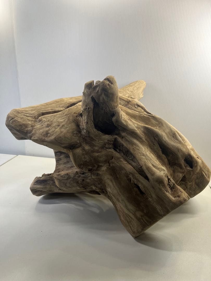 R79アク抜き済み流木 爬虫類シェルター 登り木 インテリア 生け花