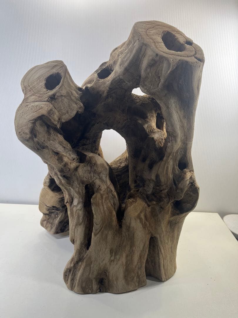 R79アク抜き済み流木 爬虫類シェルター 登り木 インテリア 生け花