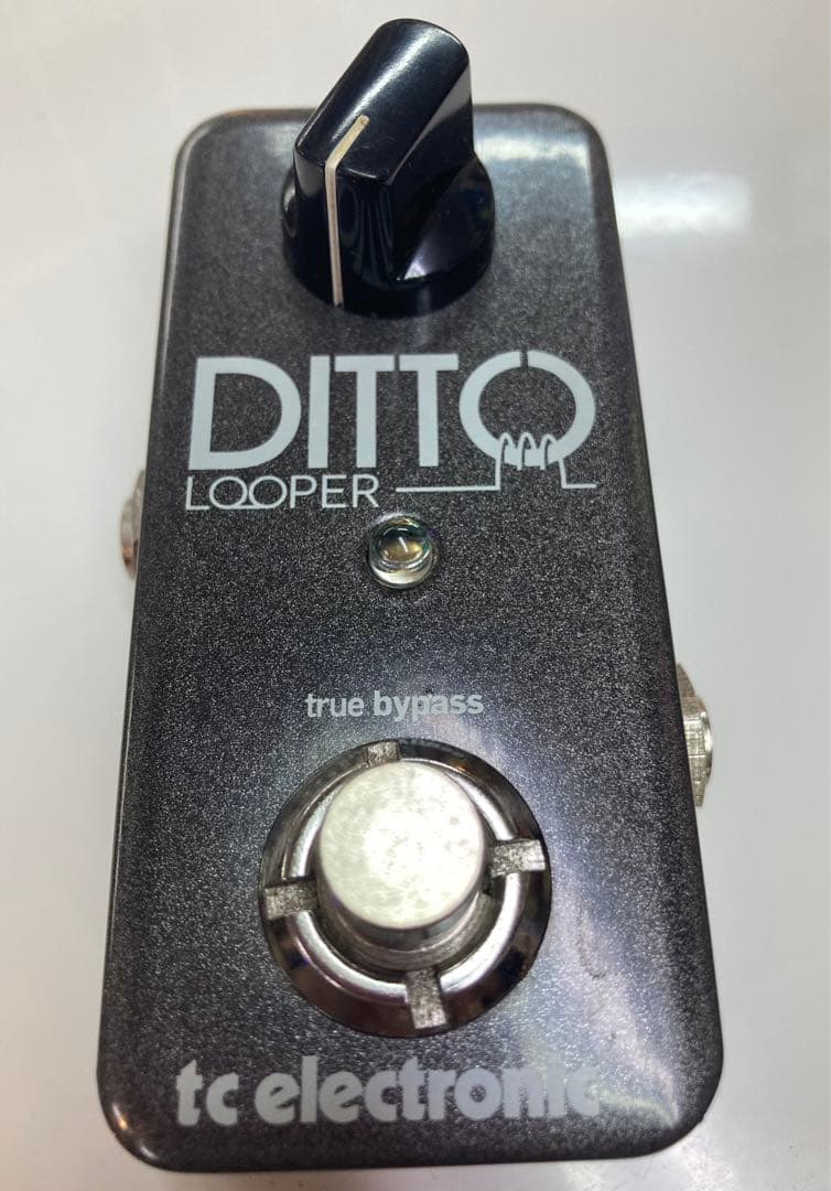 箱付き tc electronic Ditto Looper 【保証有】