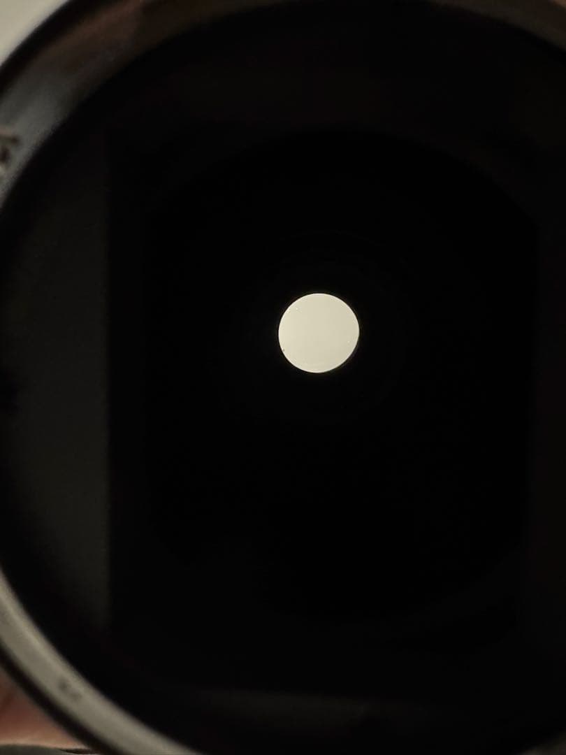 パナソニック Lumix S 70-300 f4.5-5.6 レンズ Lマウント