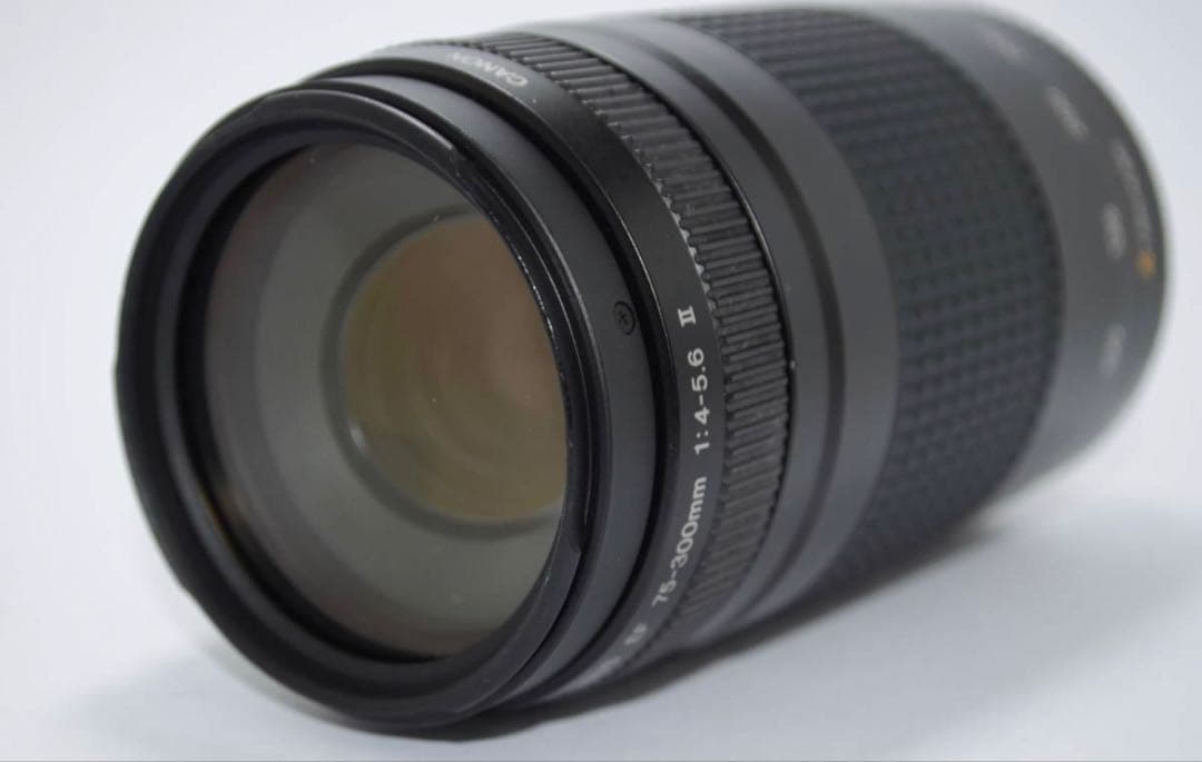望遠レンズ☆キャノン☆Canon EF 75-300㎜F4-5.6 Ⅱ