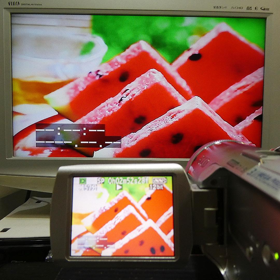 美品・動作良好 パナソニック NV-GS250 MiniDVビデオDVD化に最適