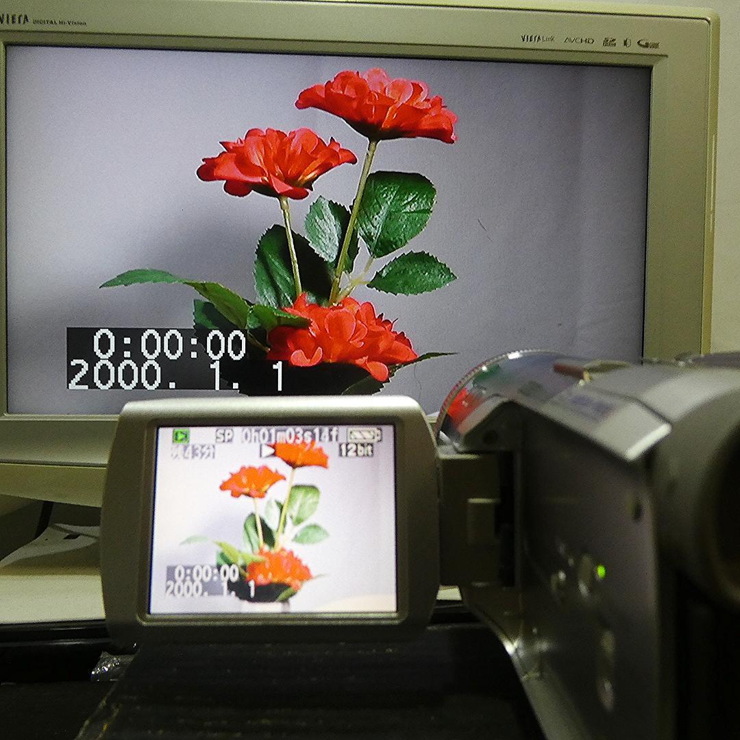 美品・動作良好 パナソニック NV-GS250 MiniDVビデオDVD化に最適