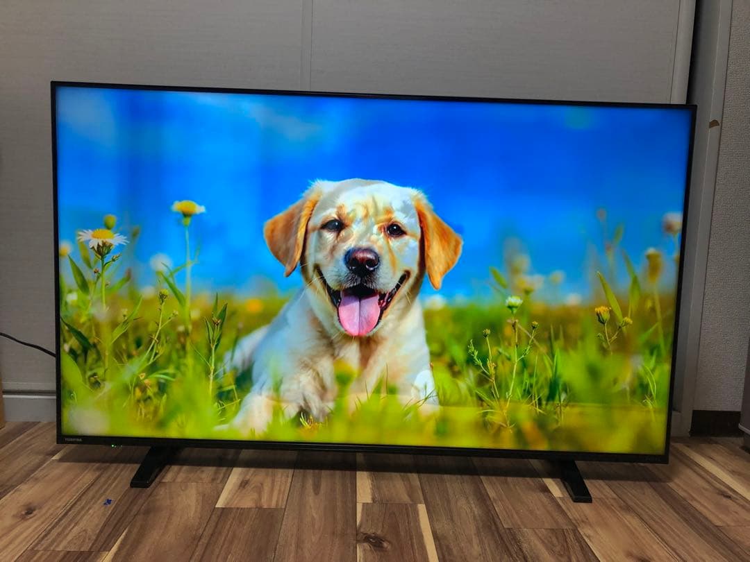 美品 TOSHIBA REGZA 50C340X 50型 4K 液晶テレビ