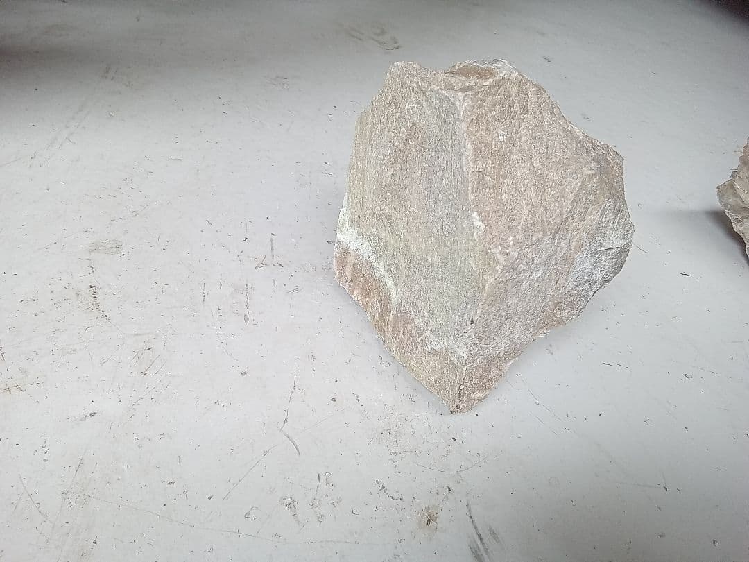 木化石　詰め合わせ