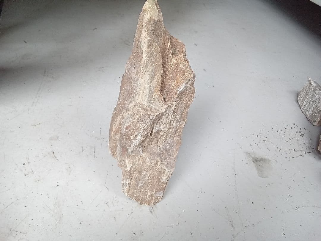 木化石　詰め合わせ