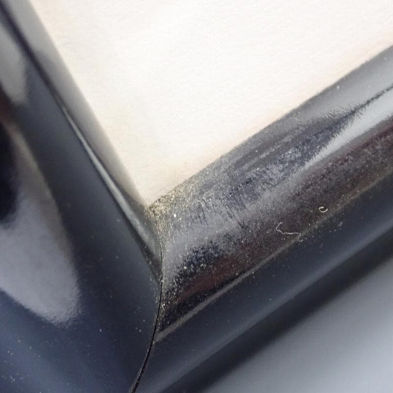 RU-6018　ディズニーセル画　101匹　わんちゃん