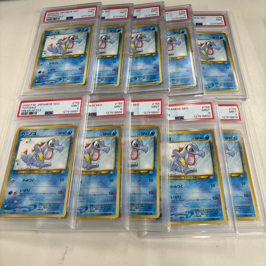 ワニノコ　旧裏　プレミアムファイル PREMIUM FILE PSA9 10枚