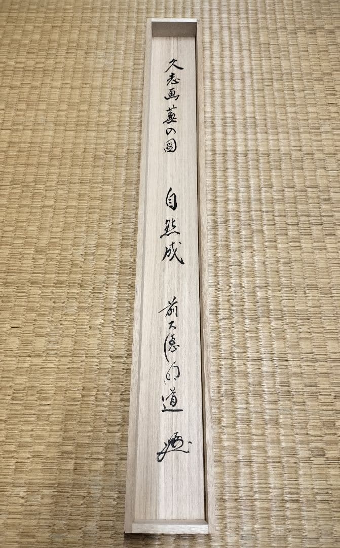 b958【新品・未使用】軸 横物 画賛 蕪の図 「自然成」戸上明道 木箱 茶道具