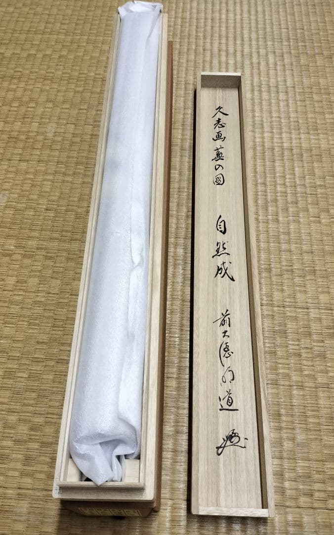 b958【新品・未使用】軸 横物 画賛 蕪の図 「自然成」戸上明道 木箱 茶道具