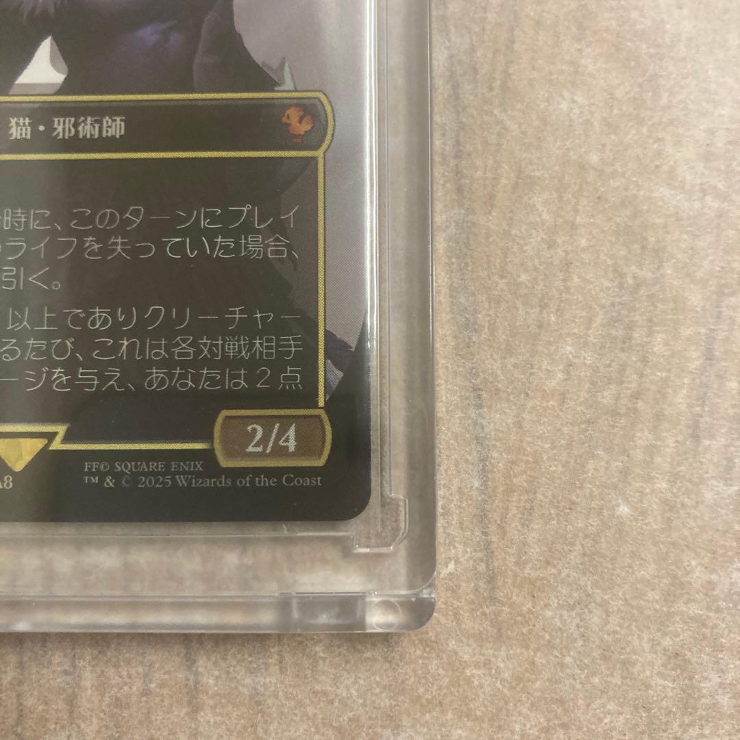 【日本語版】【サージフォイル】【ボーダーレス版】魔女、ヤ・シュトラ・ルル