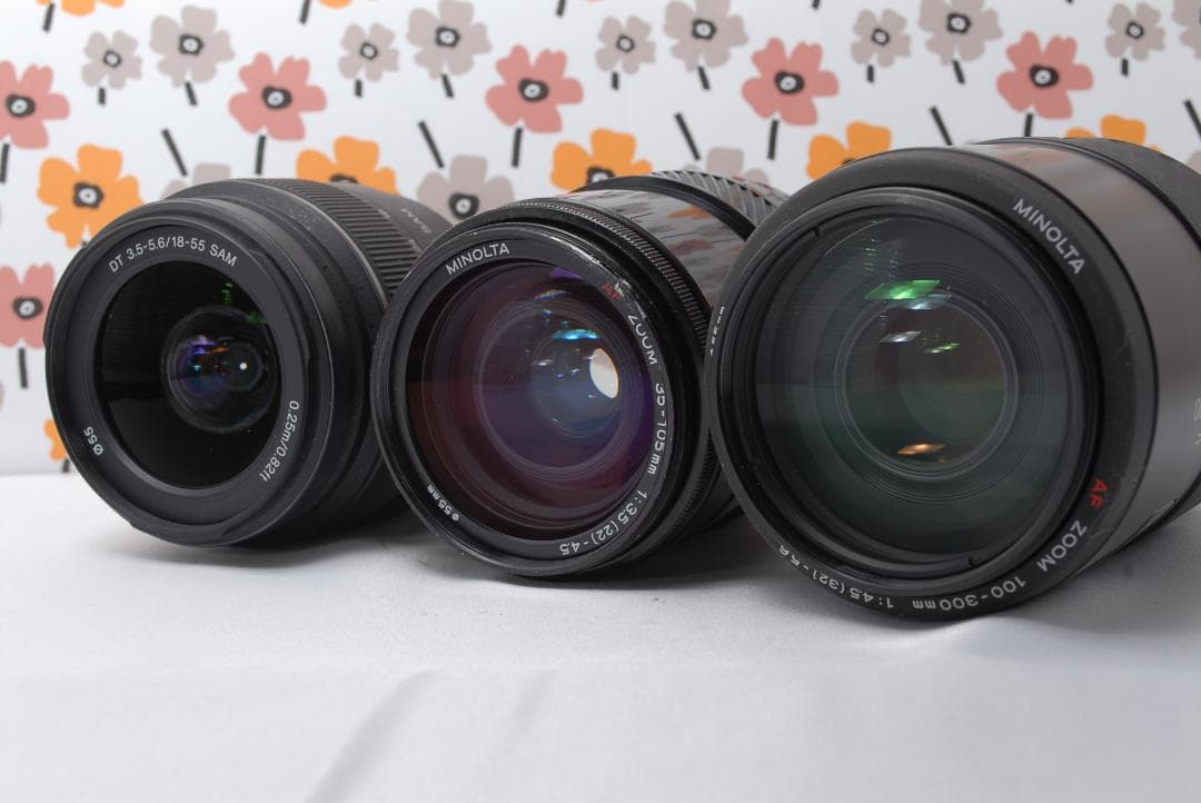 ❤SONY α65❤トリプルレンズ❤超望遠❤超高画質❤1秒10コマの高速連射❤