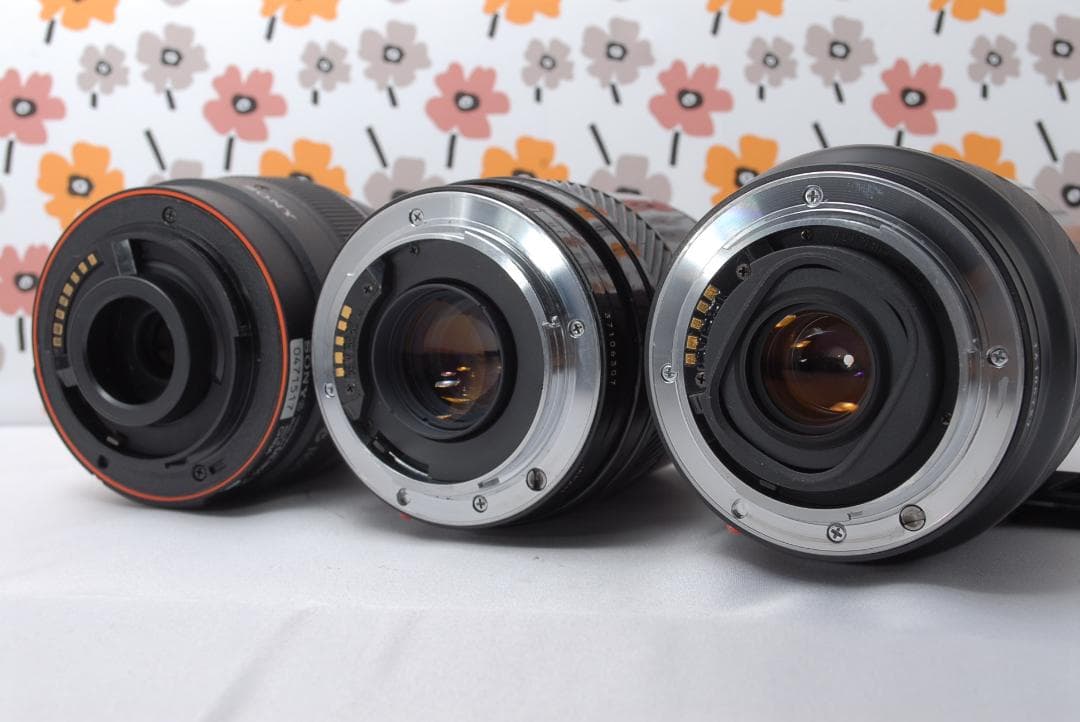 ❤SONY α65❤トリプルレンズ❤超望遠❤超高画質❤1秒10コマの高速連射❤