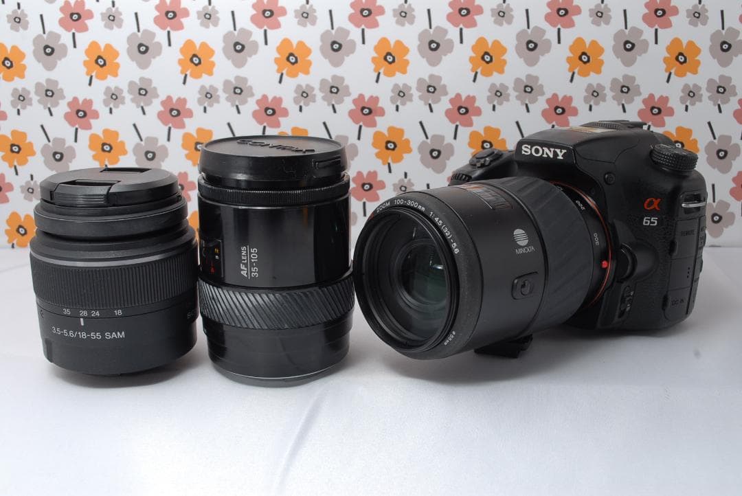 ❤SONY α65❤トリプルレンズ❤超望遠❤超高画質❤1秒10コマの高速連射❤