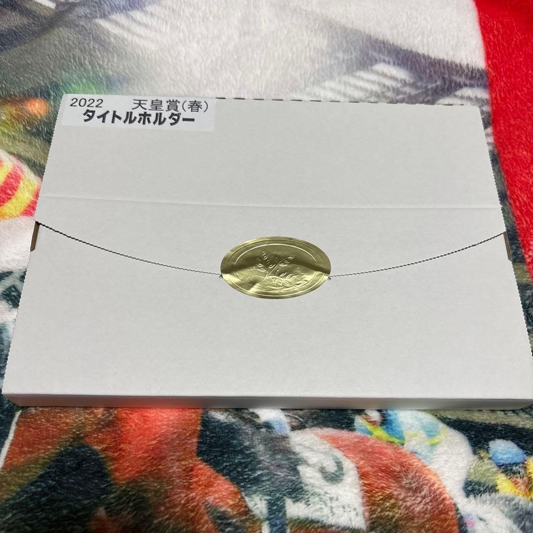 タイトルホルダー　天皇賞春　額入りミニゼッケン