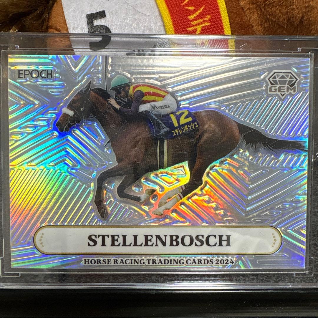 EPOCH ステレンボッシュ 限定版 トレーディングカード　 ホースレーシング